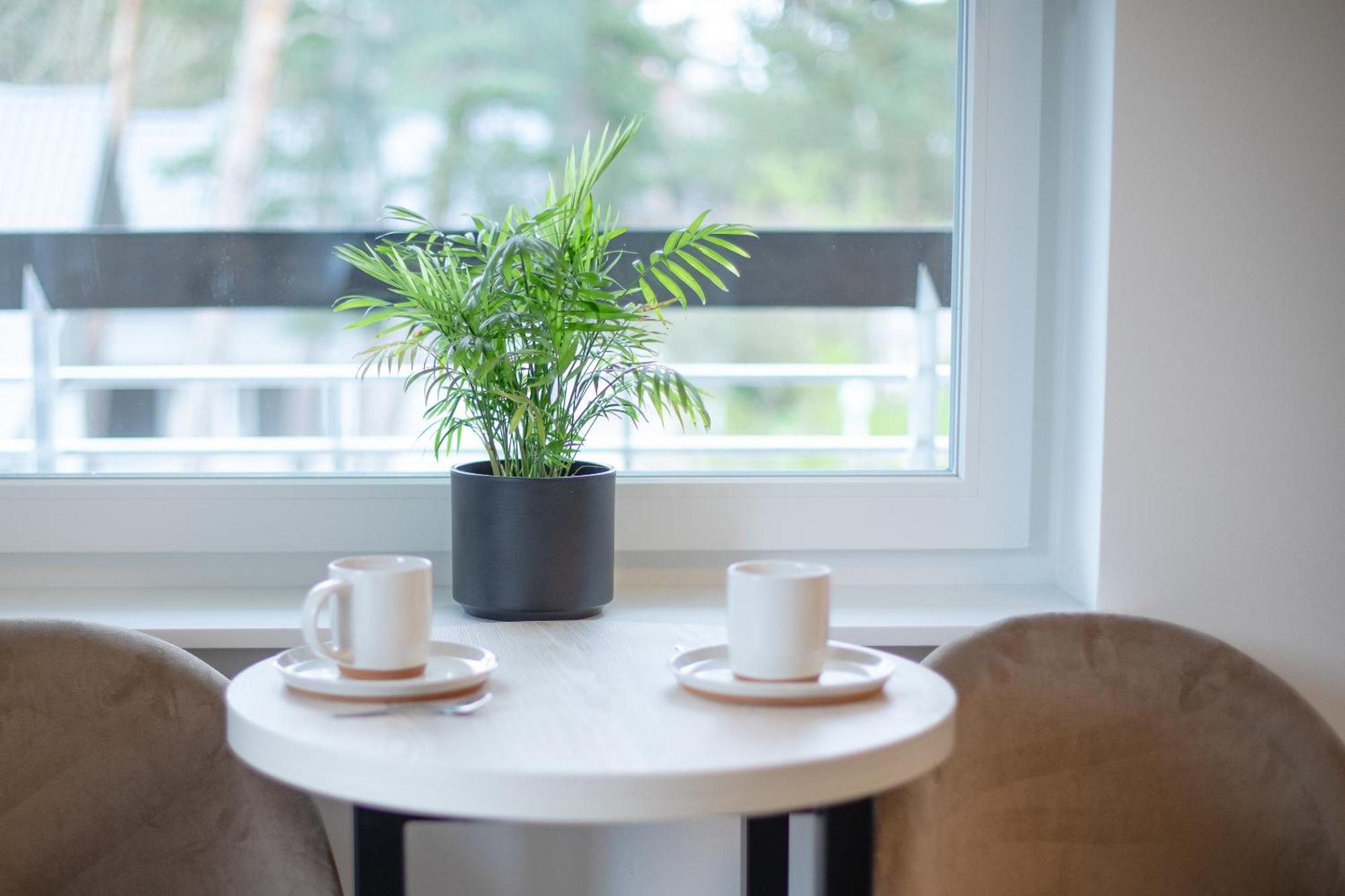 Apartamenty Przy Plazy Z Basenem Z Podgrzewana Woda I Mini Spa - Osrodek Kolonijno-Wczasowy Mewa Niechorze Eksteriør bilde